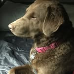Helen Bartlett - @helenbartlett987 - Instagram