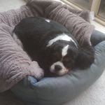 Helen Batchelor - @helen.batchelor.37625 - Instagram