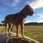 Helen Batchelor - @helen.batchelor.391 - Instagram