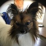 Helen Bath - @bath3743 - Instagram