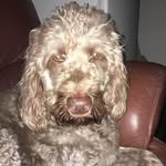 Helen Batty - @heleb82 - Instagram