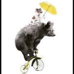 Helen Bear - @hawksleybear1 - Instagram