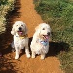 Helen Beatty - @helennother - Instagram