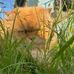 Helen Bechtold Reig - Facebook