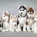 Helen Berner - Facebook