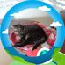 Helen Bernersson - Facebook