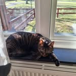 Helen Bernersson - @bernerssonhelen62 - Instagram