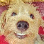 @helen_justin_bieber - Instagram