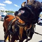 Helen Bishop - @helenbishop7583 - Instagram