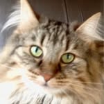Helen Blackmore - @claudicat2001 - Instagram