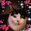 helenblakemore - @helenblakemore - TikTok
