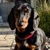 Helen Blank - Facebook