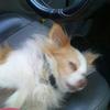 Helen Blankenship - @helen.blankenship1 - TikTok