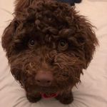 Helen Bloomfield - @hels_00 - Instagram