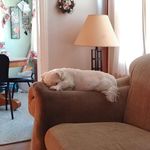 Helen Bock Persondek - @bockpersondek - Instagram