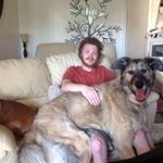 Helen Bock Webster - @helen.b.webster.5 - Instagram