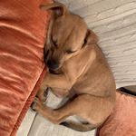 Helen Cashmore Bock - @hcashbock - Instagram