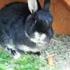 Helena Boehm - @henna210307 - TikTok