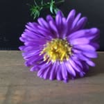Helen Boland - @glammab2376 - Instagram