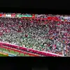 Helen Boles - @helenboles9388 - TikTok