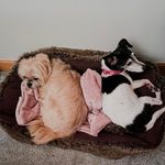 Helen Bone - @helenbone8 - Instagram
