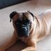 Helen Bott - Facebook