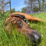 Helen Bourne - @helenbourne28 - Instagram