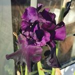 Helen Bourne - @helen.bourne._42 - Instagram