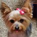 Helen Box - Facebook