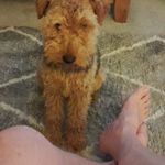 Helen Box - @helenbox67 - Instagram