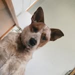 Helen Branch - @branch1957 - Instagram