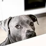 Helen Branch - @helenbranch971 - Instagram
