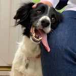 Helen Brewer - @helen.brewer.71 - Instagram
