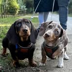 Helen Carthy Broadhead - Facebook