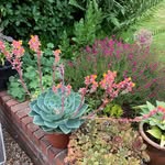 Helen Marie Bryer - @helenmariestrickland - Instagram