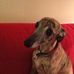 Helene Bryner - Facebook