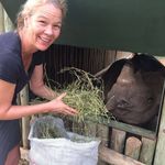 Helen Budd - @helenjbudd - Instagram