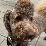 Helen Bunch - @bunch2970 - Instagram