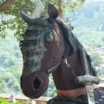 Helen Burrows - @burrows4059 - Instagram