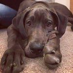Helen Busby - @helen.busby.5 - Instagram