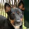 Mya_cairns21 - @helenbutton - TikTok