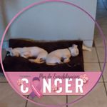 Helen Calloway - @helen.calloway.10 - Instagram