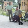 helenaabrilcarden - @helenaabrilcarden - TikTok