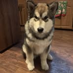 Helen Cavanaugh - Facebook