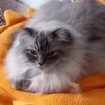 Helen - @helen.clarkson.125 - Instagram