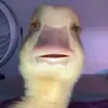 Helen Comer - @helencomer53 - TikTok