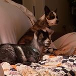 Helen Comer - @helen.comer.739 - Instagram