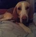 Helen Comer - Facebook