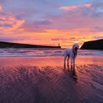 Helen Coombs - @helen_coombs271 - Instagram