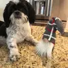 Helene Coombs - @helene.coombs6 - TikTok